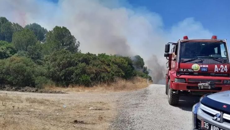 “İzmir’de Orman Yangını Alarmı: Aliağa ve Menderes’te Yangınlar Başladı”
