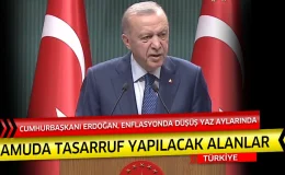 Kamuda Tasarruf Genişliyor