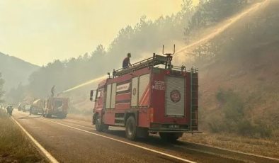 Orman Yangınlarında Tutuklamalar
