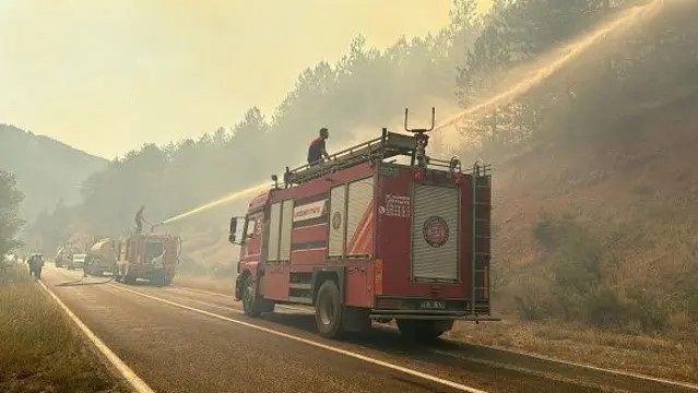 Orman Yangınlarında Tutuklamalar